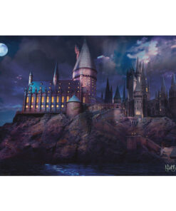 Poster Harry Potter Hogwarts GPE5367