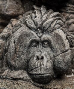 El Planeta de los Simios Statue Apes Through the Ages 29 cm - Imagen 6