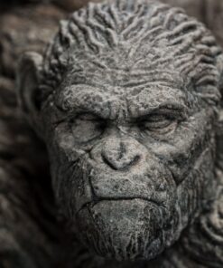 El Planeta de los Simios Statue Apes Through the Ages 29 cm - Imagen 7