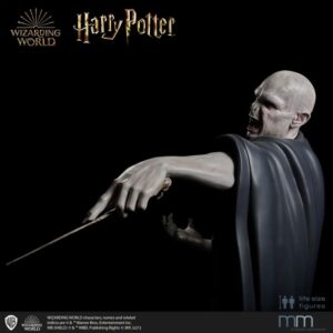 Figura Voldemort Harry Potter